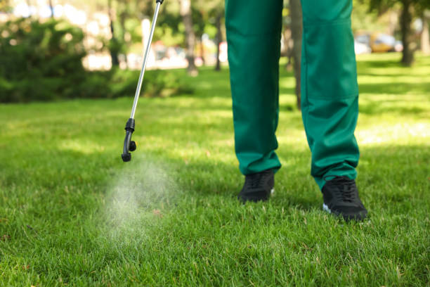 Reliable Idyllwild Pine Cove, CA Pest Control Solutions